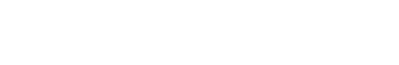 Sarrazin World Rally Team